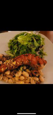 Smoked Octopus Salad over Cannellini Beans, Kalamata Olives, and Herb Roasted Heirloom Cherry Tomatoes