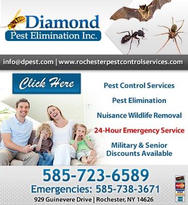 Diamond Pest Elimination Inc.