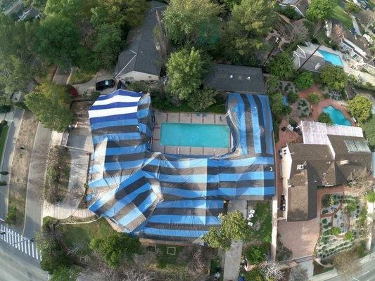 Fumigation in Hollywood Hills.