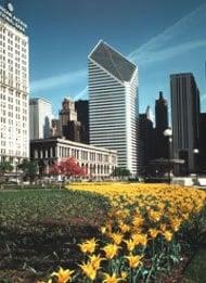 Our office is located in the diamond shaped building, across the street from "the Bean" in Millennium Park.