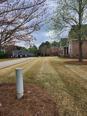 Lawn maintenance and pinestraw application