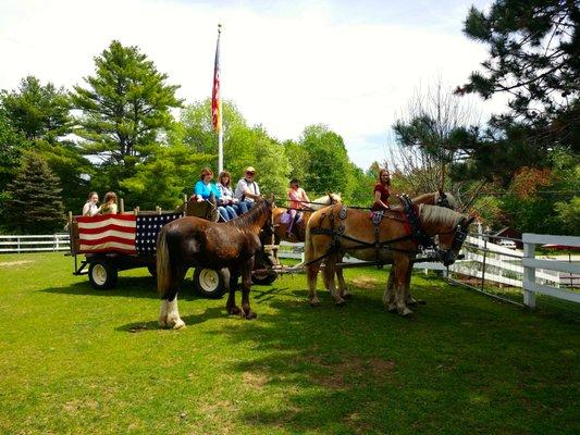 Belgian Meadows visits the farm!