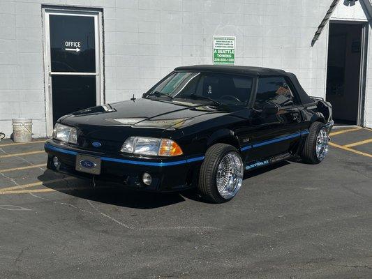 Tint all around for this super clean mustang 5.0