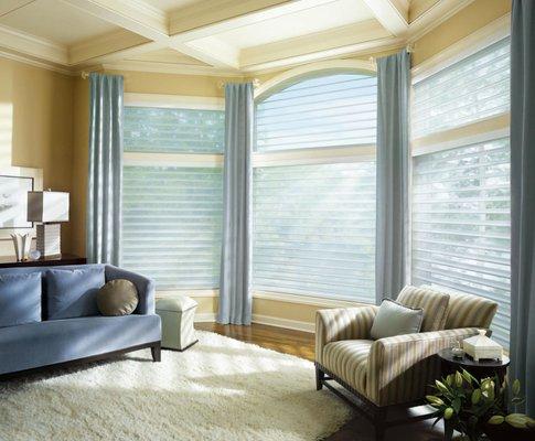 Hunter Douglas Luminettes