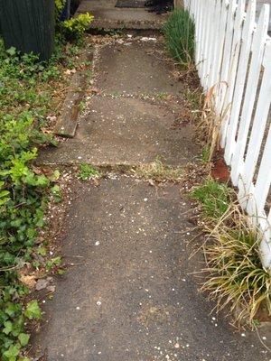 Shows dislocation between two adjacent sidewalk sections.