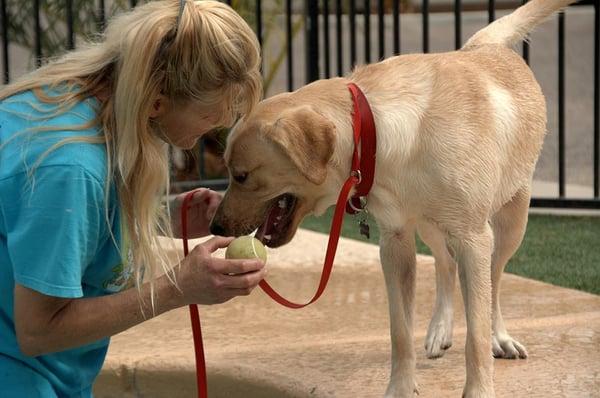 Dog trainer on site!