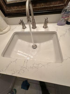 The new powder room sink