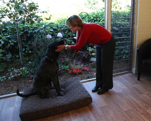 Dr. Katie Griffin in the waiting room of her office at 543 Frederick Street in Santa Cruz.