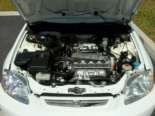 Steam cleaned & detailed engine bay for $40!