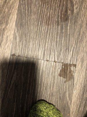 Water seeping up from under the floorboards