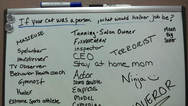 If your cat was a person what would his/her job be?  Well this isn't a job per se, but ours would be a Mean Big Sister.