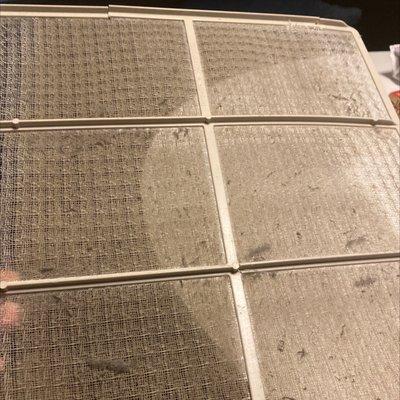 Air conditioning filter that hasn't been cleaned in 4 months