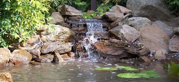 Ponds and Water features are our passion