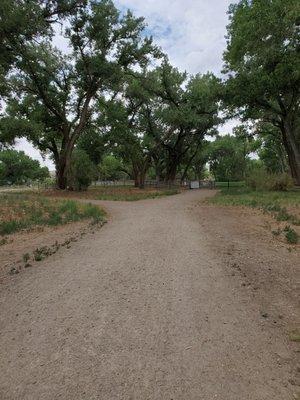 Large dog park and small dog park