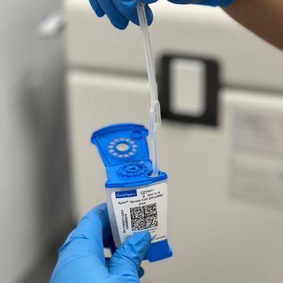 Rapid RT-PCR Test for Travelers