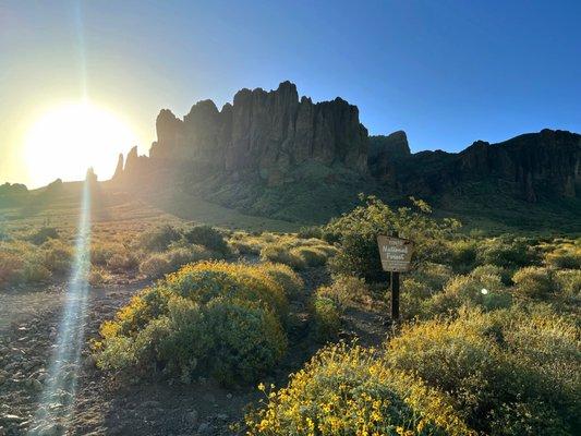 Lost Dutchman. Our hike to FlatIron.