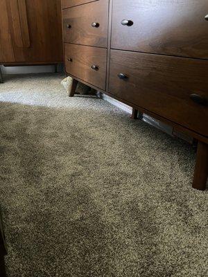 New carpet from Flooring 101, TO, CA