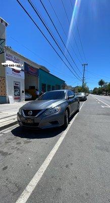 Altima Tint and windshield repair