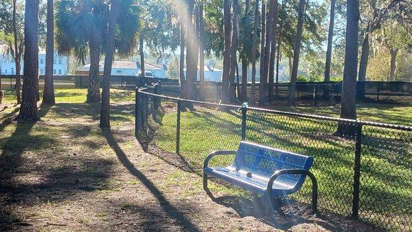 A bench and some