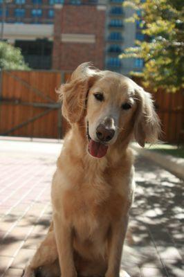 Stella at Urban Oasis Courtyard