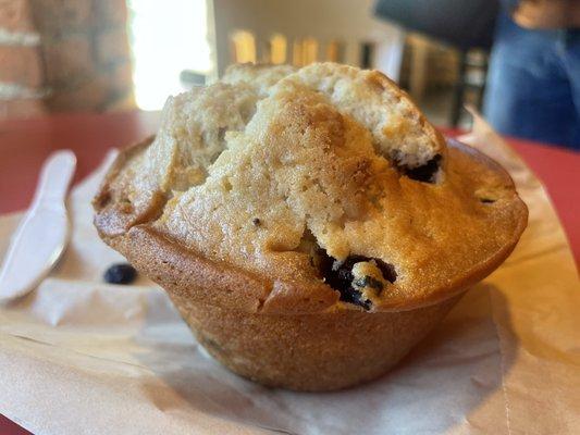 Blueberry muffin