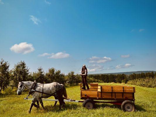 Wagon rides in the orchard at Ski-Hi.