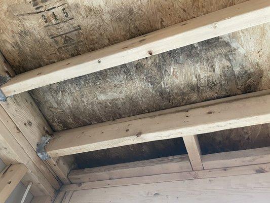 This is a photo of water-damaged sheathing that they failed to replace beneath the rubber roof. It is growing black mold.