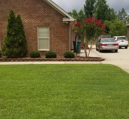 Mowed lawn 
Tree and shrub maintenance