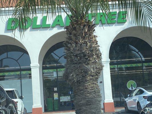 I mean it says Dollar Tree with dollar signs all over the windows