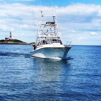 Enjoying a beautiful day off Montauk Point New York aboard Tailwrapped Sportfishing.