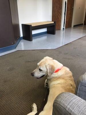 In the waiting room... He loves his dr, Dr. Corse!