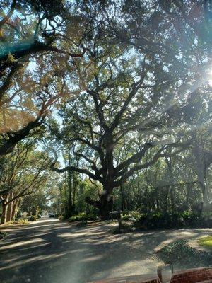 City of Fairhope