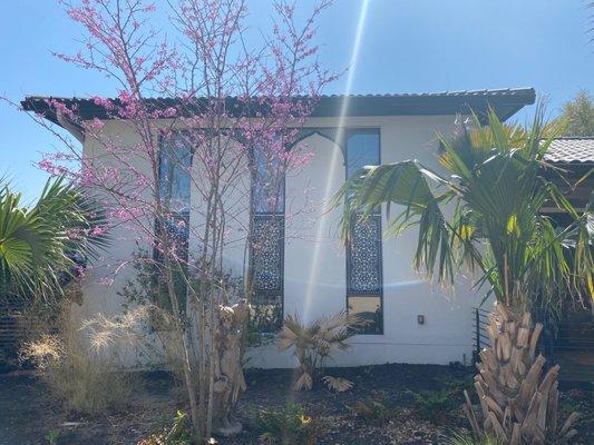 Front of our house with crystal clear windows.