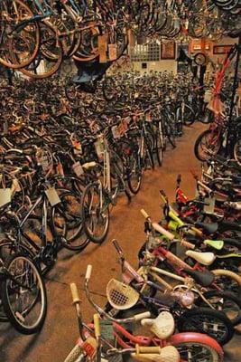 Budget Bicycle Center