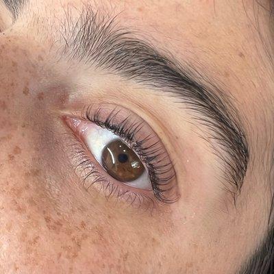 Lash Lift +Tint