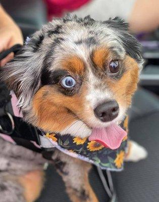 One of our Lake Charles evacuees - so happy that we were able to help!