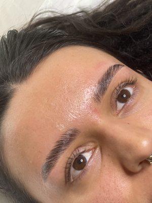 Laminated -Full -This -Luscious Brows.