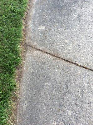 After weeds on driveway edge.