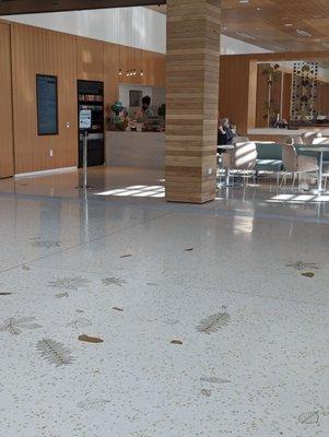 Entrance to the cafe inside the garden visitor center