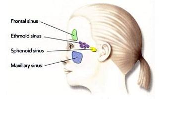 Specializing in Nasal and Sinus Treatment