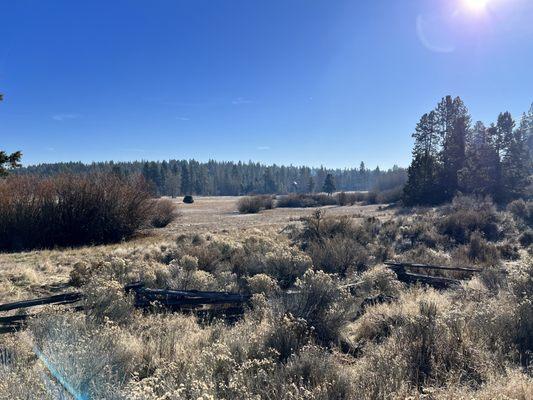 Camp Polk Meadow Preserve - interpretive trail