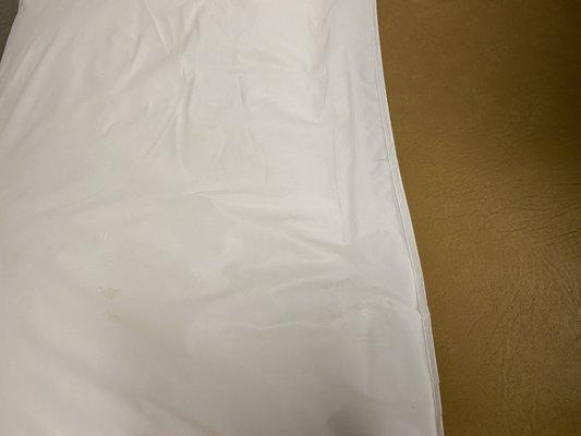 Dried up blood? On plastic pillow case