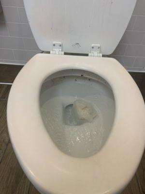 Dried poop all over the inside of the toilet