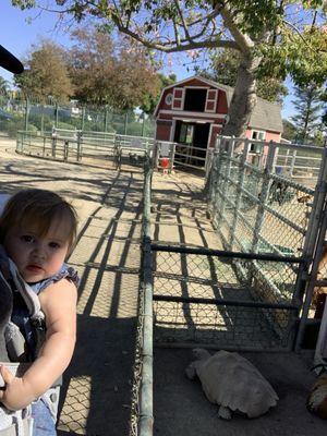 Nice little zoo in a park for kids to spend a couple of hours