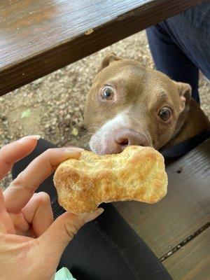 A dog biscuit for my pup :)