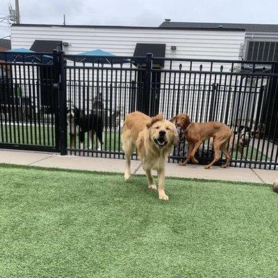 Day Camp fun in the outdoor yards