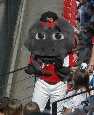 Muddy the Mudcat