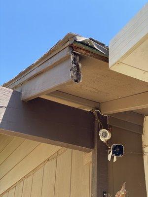 Rotted board on house that was not replaced.