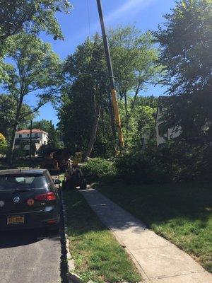 Moving an enormous log from the back of the house to the front