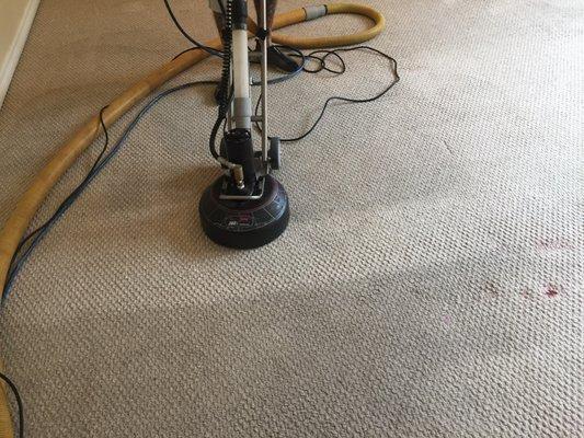 Berber carpet using rotary scrubber!